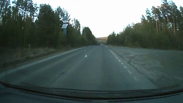 Грамотно ушёл от медведя