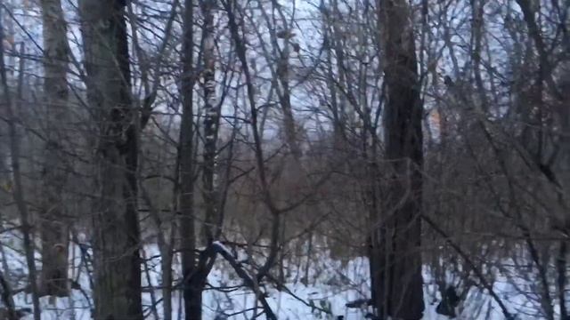 Парк не место для культуры и отдыха!