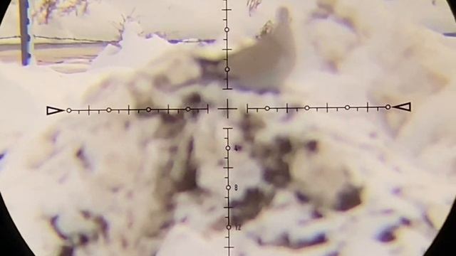 Fx Maverick Compact .22/DonnyFl FatBoy 2.0/ DOVE CARNAGE Part 3