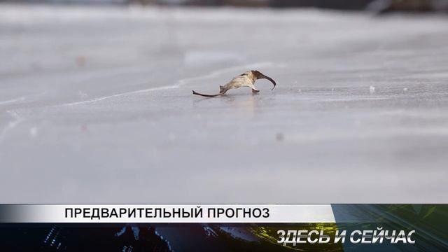 Предварительный прогноз смотреть онлайн