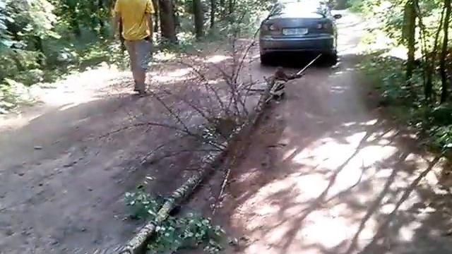 Достаточно древесины смотреть онлайн