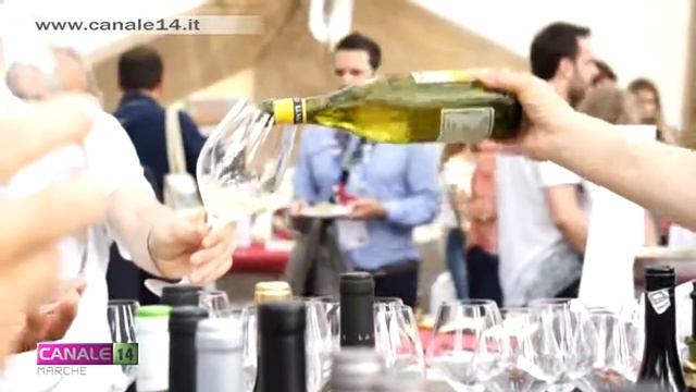 In vigore il Testo Unico sul vino: burocrazia dimezzata per le cantine смотреть онлайн