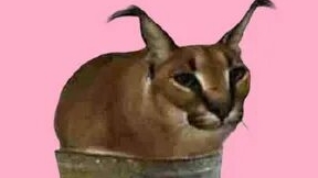 первый ролик на компе