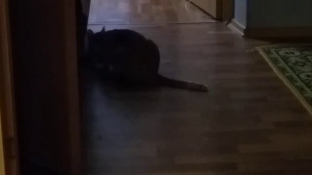 Рисую 3D ручкой и делаю копилку