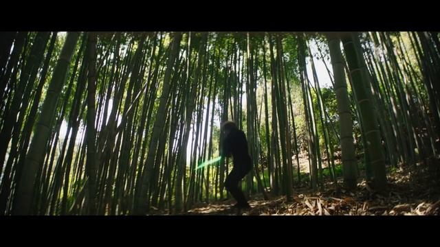 Luke Skywalker Training Baby Grogu