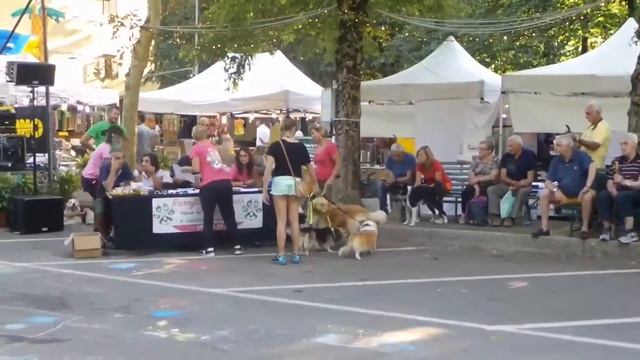 Abetone Cutigliano mon Amour " Gli Amici dell' uomo " video+foto agosto 2018 by walter giusti смотреть онлайн