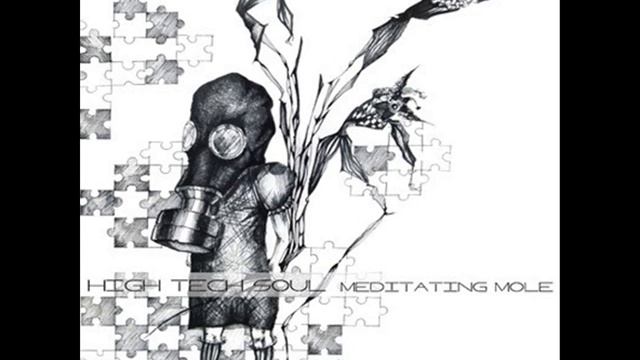 High Tech Soul- Meditating Mole (MDUB Remix) смотреть онлайн