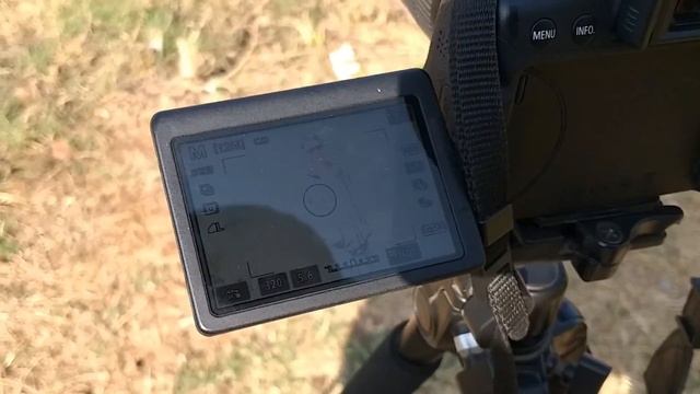 DSLR Camera se BLUR Photo kaise Click kare? смотреть онлайн