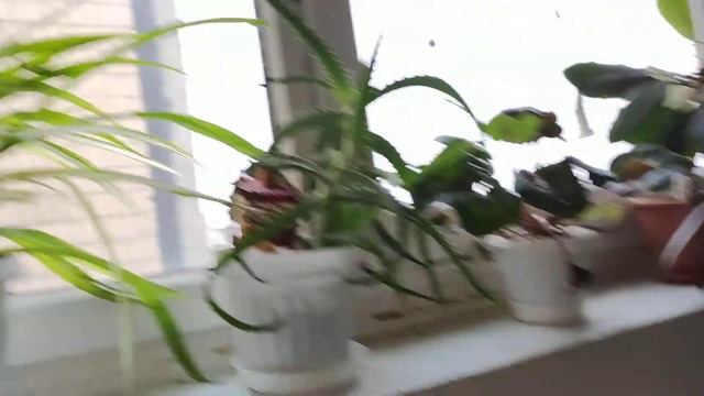 Лифт МЛЗ, Г/П 320 кг, V=0,71 м/сек (просп. Героев, 21, подъезд 5, г. Днепропетровск)