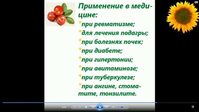 БРУСНИКА mp4 смотреть онлайн