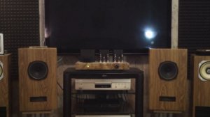 Акустика DIATONE P-610DB на кобальте.