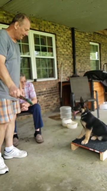 Nikita - Steady, Jump & Catch on Command 6 7 19 смотреть онлайн