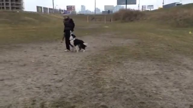 Левый круг кусок в руке