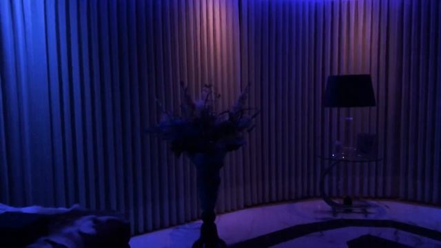 "Alexa Movie time" Luxaflex Duet-shades + Hue verlichting Alexa spraak gestuurd bediend. смотреть онлайн
