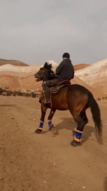 Ноокат Тайсон смотреть онлайн