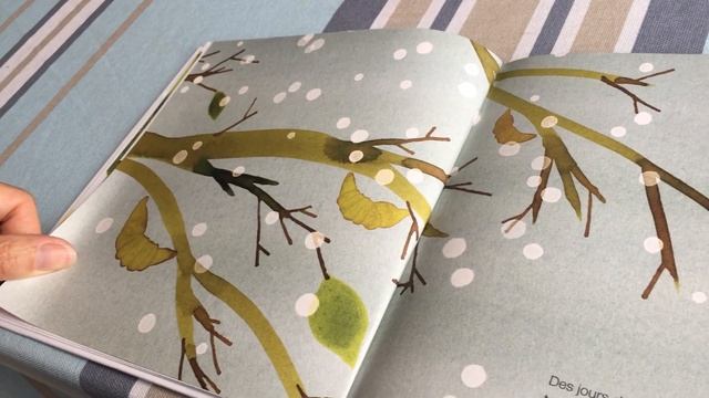 "Le papillon très pressé " de Lucie ALBON смотреть онлайн