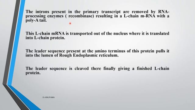 GENETIC CONTROL OF ANTIBODY DIVERSITY, SECRETION OF ANTIBODIES