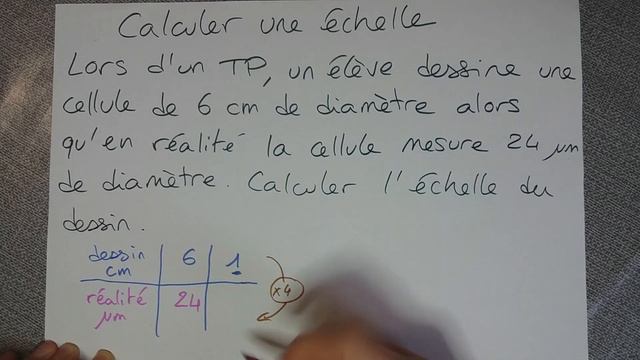 D12 calculer echelle смотреть онлайн