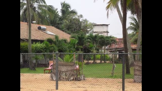 Ceylonica Guesthouse In Negombo, Sri Lanka