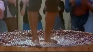 Виноград для белого вина - Сбор и этапы приготовления.