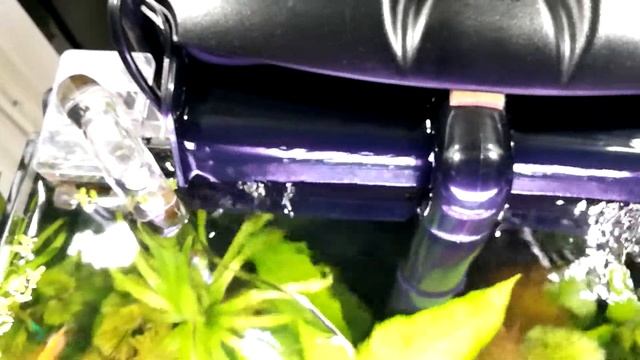 Dennerle nanocube смотреть онлайн