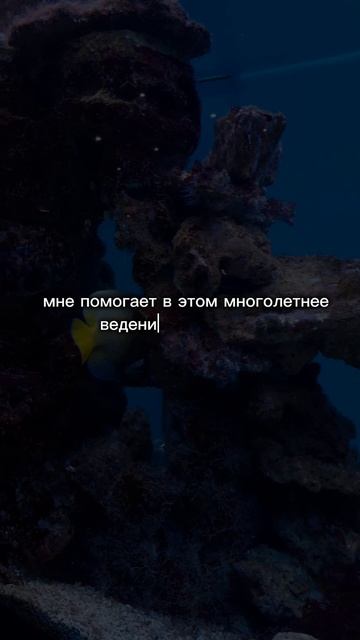 Проявляется ли экпертность в употреблении спец терминологии в общении с не коллегами?