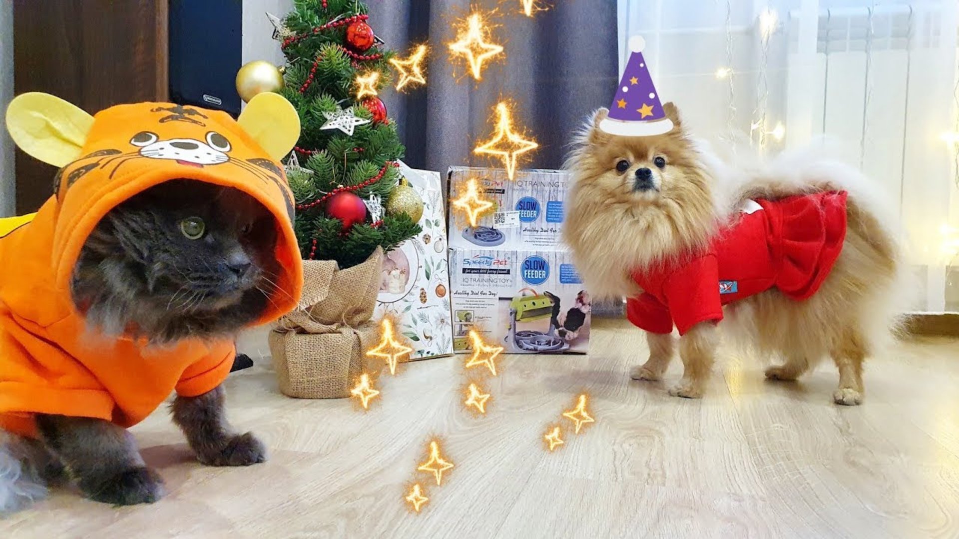 Какие подарки получат Бася и Рыся на Новый Год? смотреть онлайн