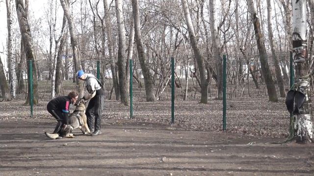 ВЕО Г.М. Анубис смотреть онлайн