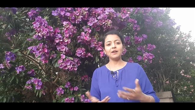 Tibouchina Plant Care Tips