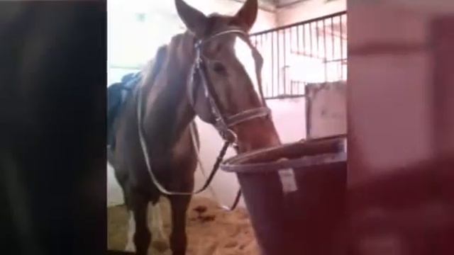 Видео для Яны смотреть онлайн