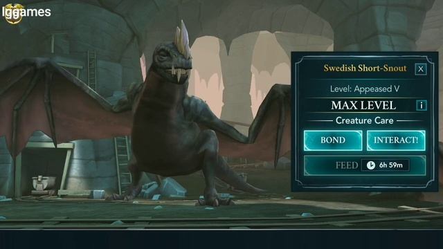 Swedish Short-Snout Max Level Harry Potter Hogwarts Mystery