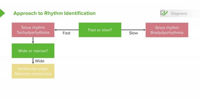 3.06 Unstable Tachyarrhythmia & Rhythm Identification смотреть онлайн