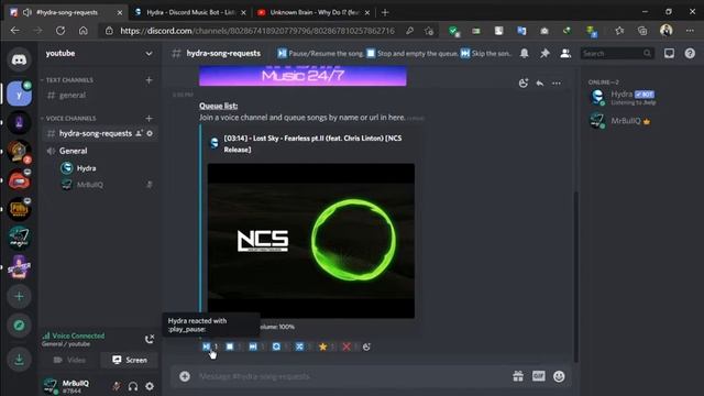 Hydra music bot setup. HYDRA bot. Discord bot. BullQ смотреть онлайн