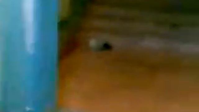 гавно охотник смотреть онлайн