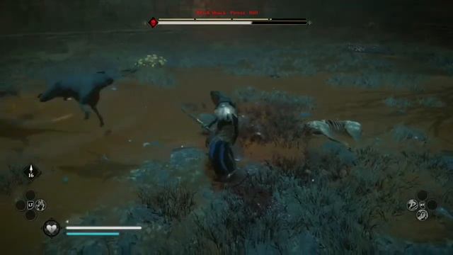 DEFEATING LEGENDARY ANIMAL BLACK SHUCK- ASSASSINS CREED VALHALLA - fight and location! смотреть онлайн