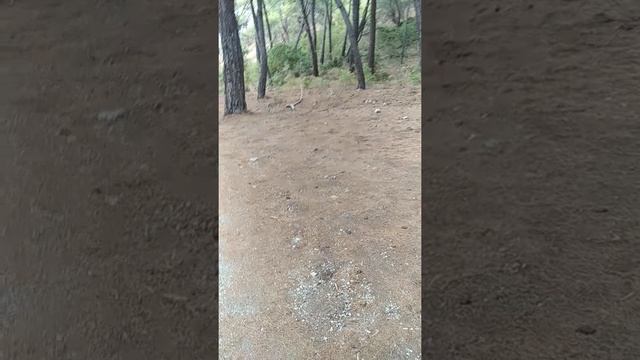 Кемер смотреть онлайн