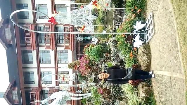 crazy camera woman lol ..curious lng po how to make a video here. смотреть онлайн