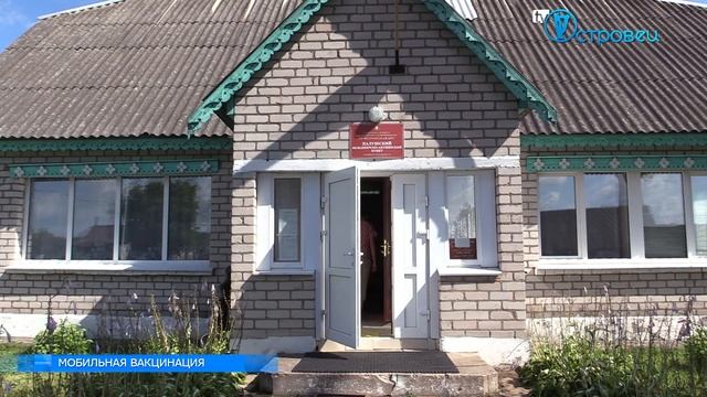 ТВой Островец - ТВОИ НОВОСТИ [Выпуск 233] смотреть онлайн