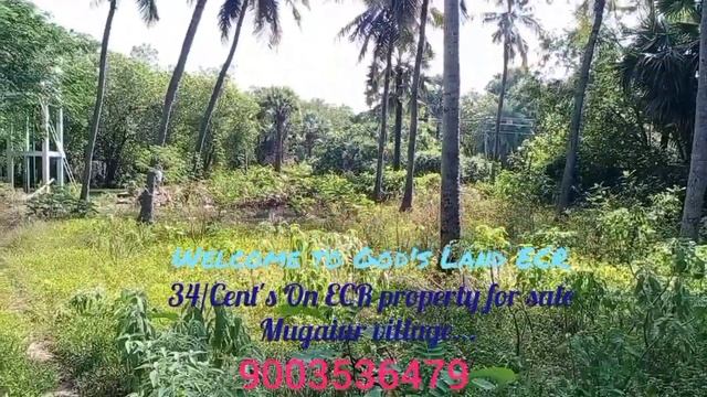 ID:12...34/Cent's On ECR Property For Sale Mugaiur Village....