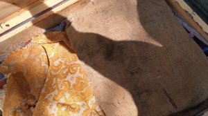 ПЧЁЛЫ 🐝 КАРНИКА ИЛИ КАРПАТКА КТО ЛУЧШЕ?