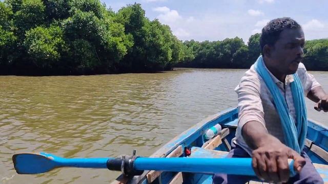 Pichavaram Mangrove Forest | bike ride in pulsar 150 | 225kms | A peaceful and plastic free place | смотреть онлайн