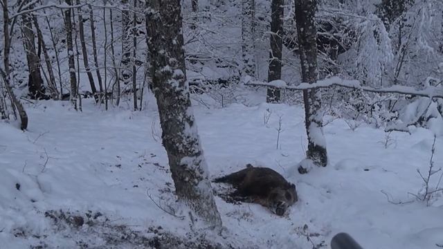 giga katamadze(5) смотреть онлайн