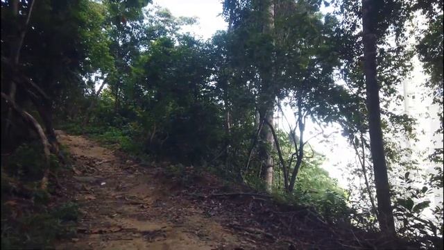 MCO Jungle Loop Trail | Mount Olivia Hiking | Tanjung Tokong Pulau Pinang | PENANG | DJI Osmo Pocke смотреть онлайн
