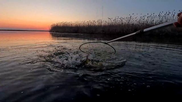 Рыбалка в с. Каралат Астраханской области 7-10 апреля 2024 г смотреть онлайн