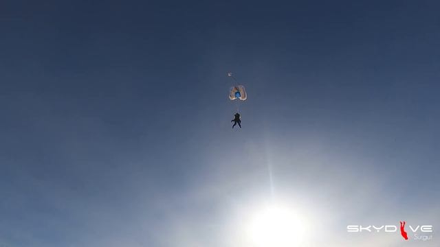 skydivesurgut смотреть онлайн