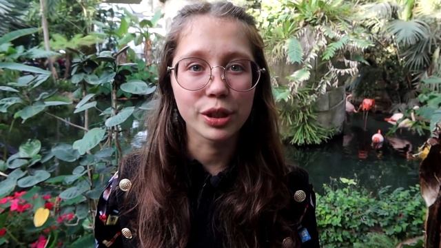 " Я пришел к тебе с приветом" А.Фет смотреть онлайн