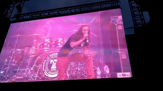 Taïro | High Grade | Live Reggae Sun Ska 2015 смотреть онлайн