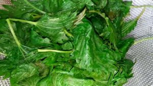 Салат из крапивы с зеленью/Салаты/Рецепт № 186