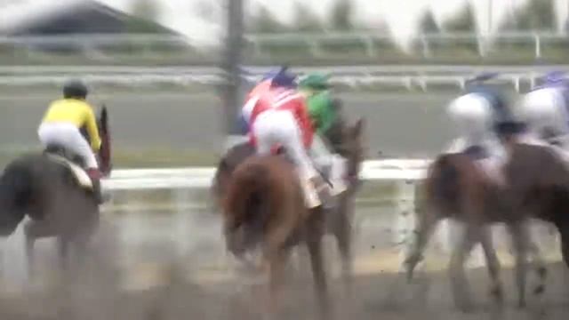 Скачки смотреть онлайн