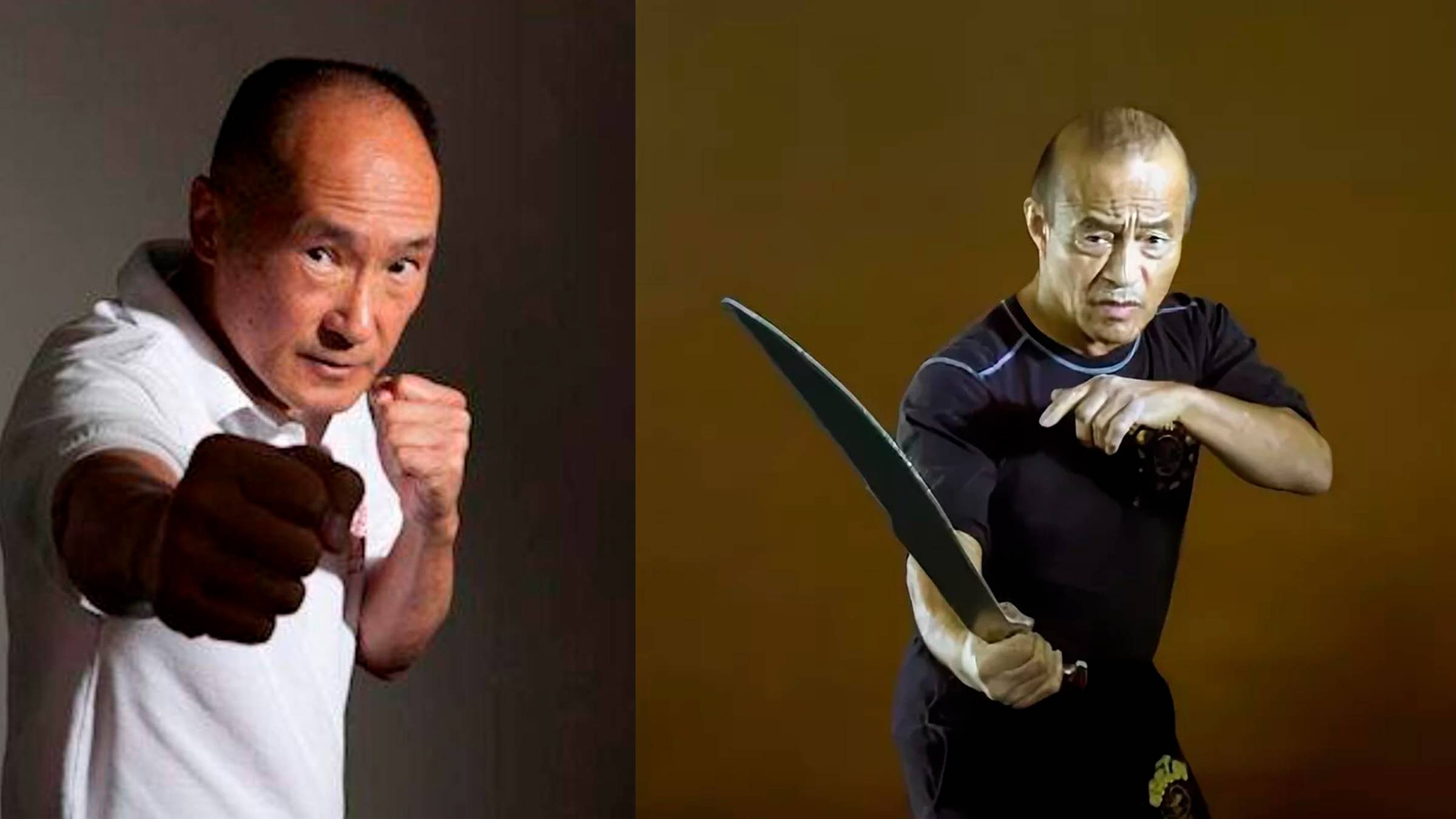 Легенды спорта и боевых искусств. Дэн Иносанто смотреть онлайн